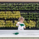 طراحی گلخانه ای در مهد کودک 